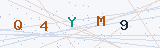 Security Verification Captcha
