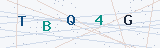 Security Verification Captcha