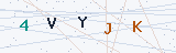 Security Verification Captcha