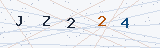 Security Verification Captcha