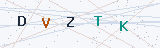 Security Verification Captcha