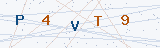 Security Verification Captcha