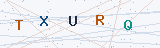 Security Verification Captcha