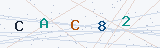 Security Verification Captcha