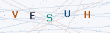 Security Verification Captcha