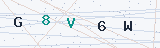 Security Verification Captcha