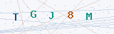 Security Verification Captcha
