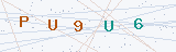 Security Verification Captcha