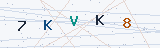 Security Verification Captcha