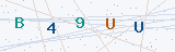 Security Verification Captcha