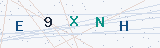 Security Verification Captcha