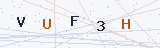 Security Verification Captcha