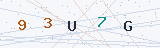 Security Verification Captcha