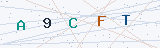 Security Verification Captcha