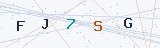 Security Verification Captcha