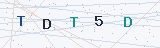 Security Verification Captcha