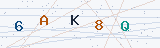 Security Verification Captcha