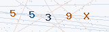 Security Verification Captcha